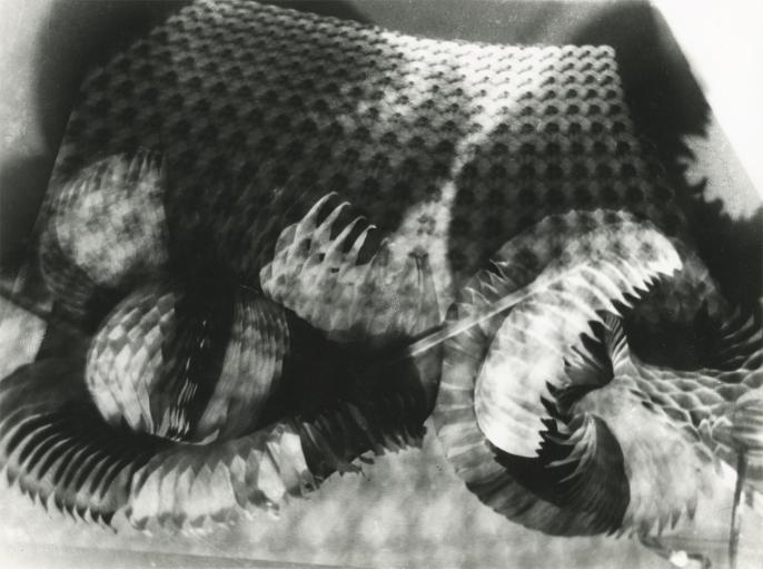 Hausmann, phantasmagorie, 1950
