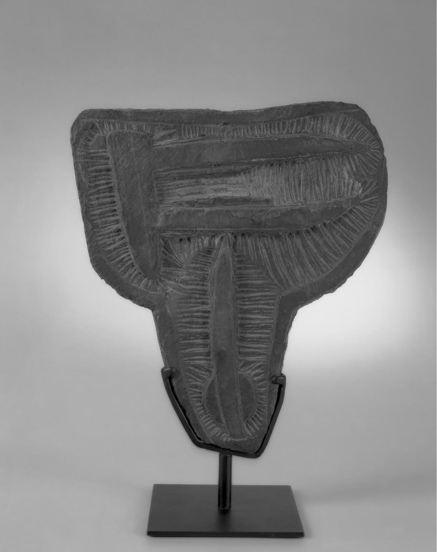 Ubac tete 1950 41 x 36 cm